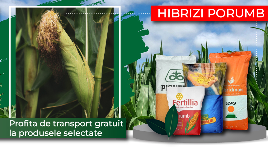 hibrizi porumb