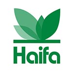 Haifa