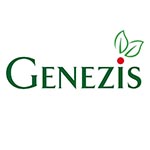 Genezis Ungaria