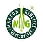 Marton Genetics