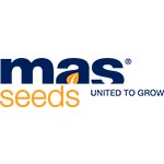 Mas Seeds