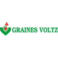 Graines Voltz