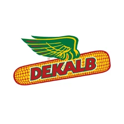 Dekalb