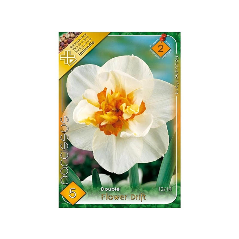 Narcise Flower Drift, 5 bulbi, Holland Park