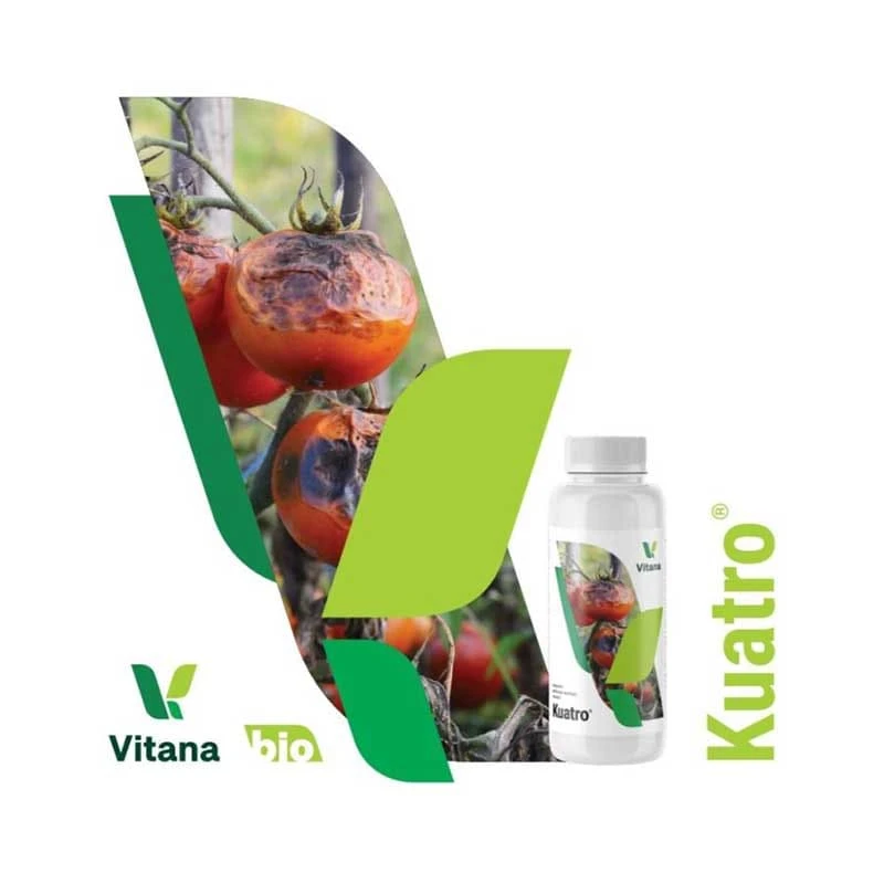 KUATRO, Tratament Antifungic, Ecologic, 250 ml