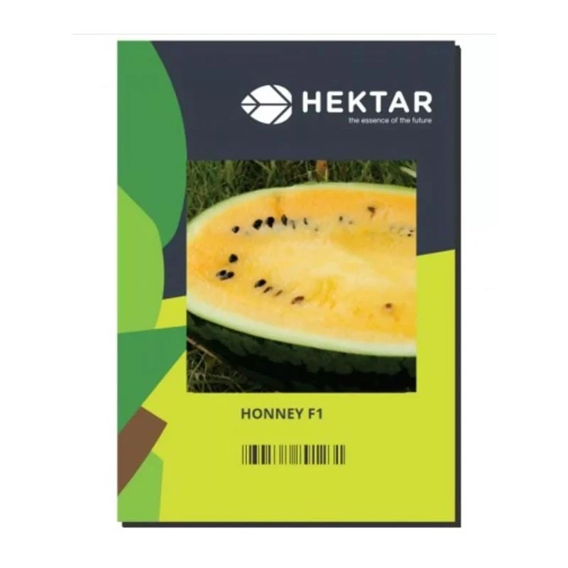 Pepene verde HONNEY F1, Hektar - 50 seminte