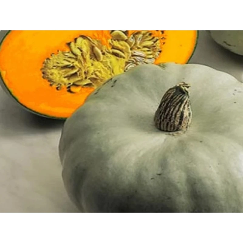 Seminte De Dovleac CROWN PRICE, Sakata - 1.000 seminte