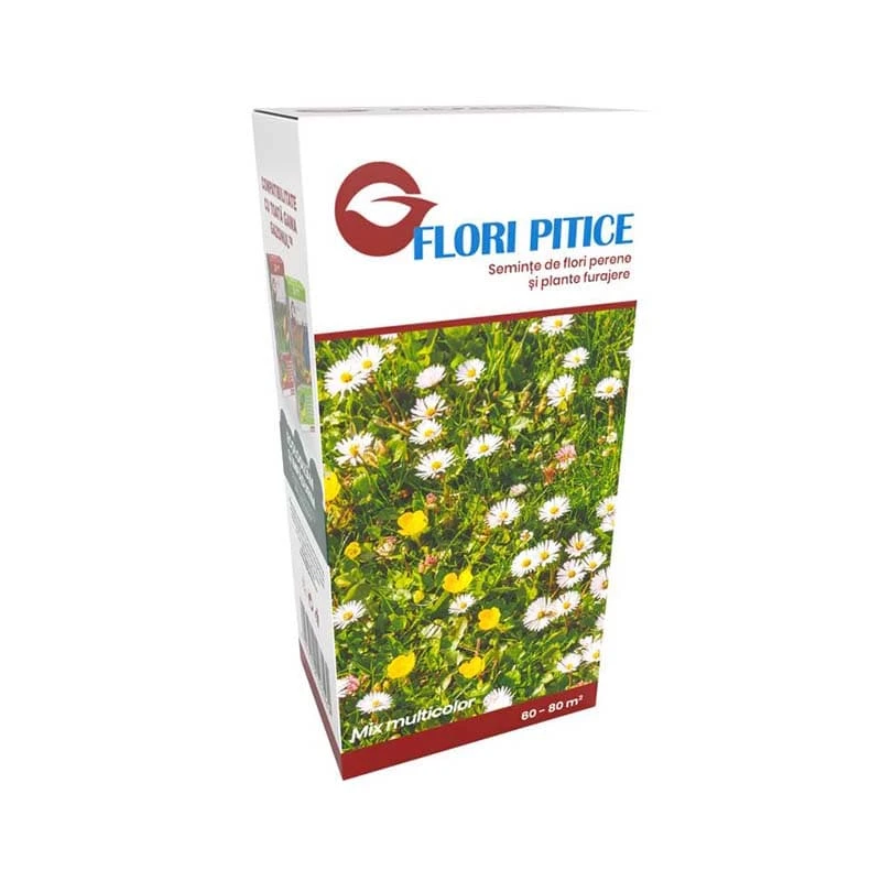 Seminte de Flori Pitice, Gazonul - Cutie 250g, Mixtura de flori, Gazon