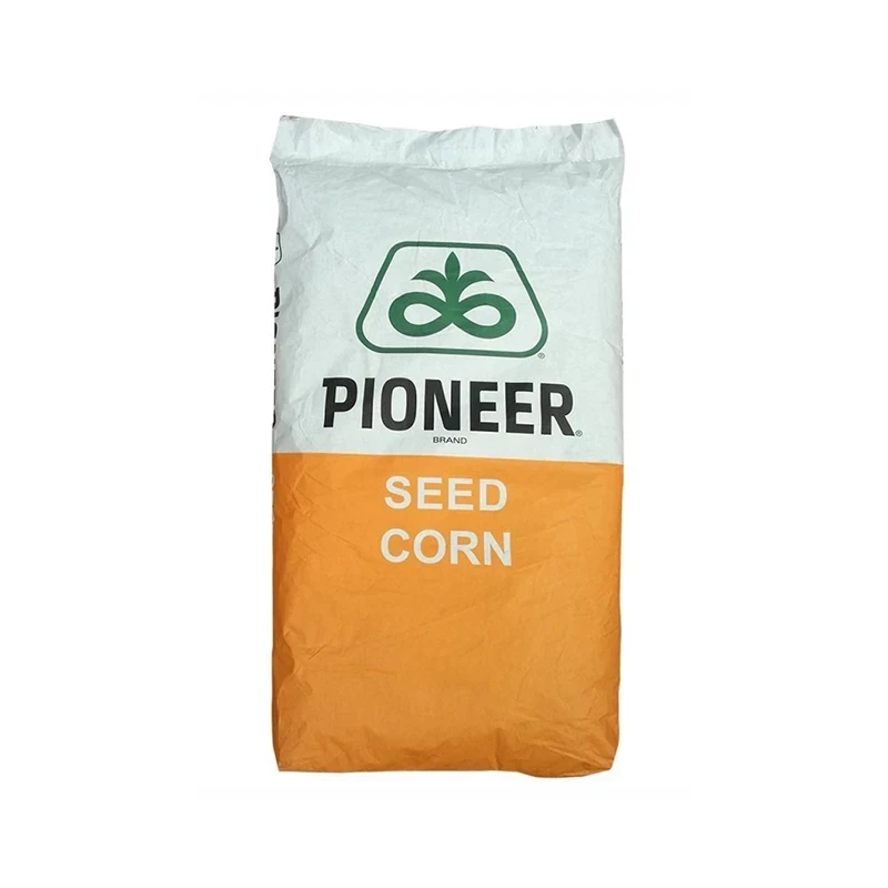 Seminte de porumb Pionner P03376, FAO 410, Optimum AQUAmax, 80.000 boabe